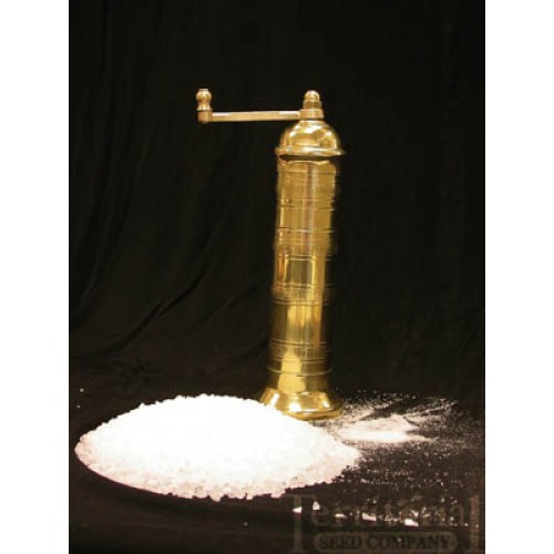 Brass Salt Mill 9"